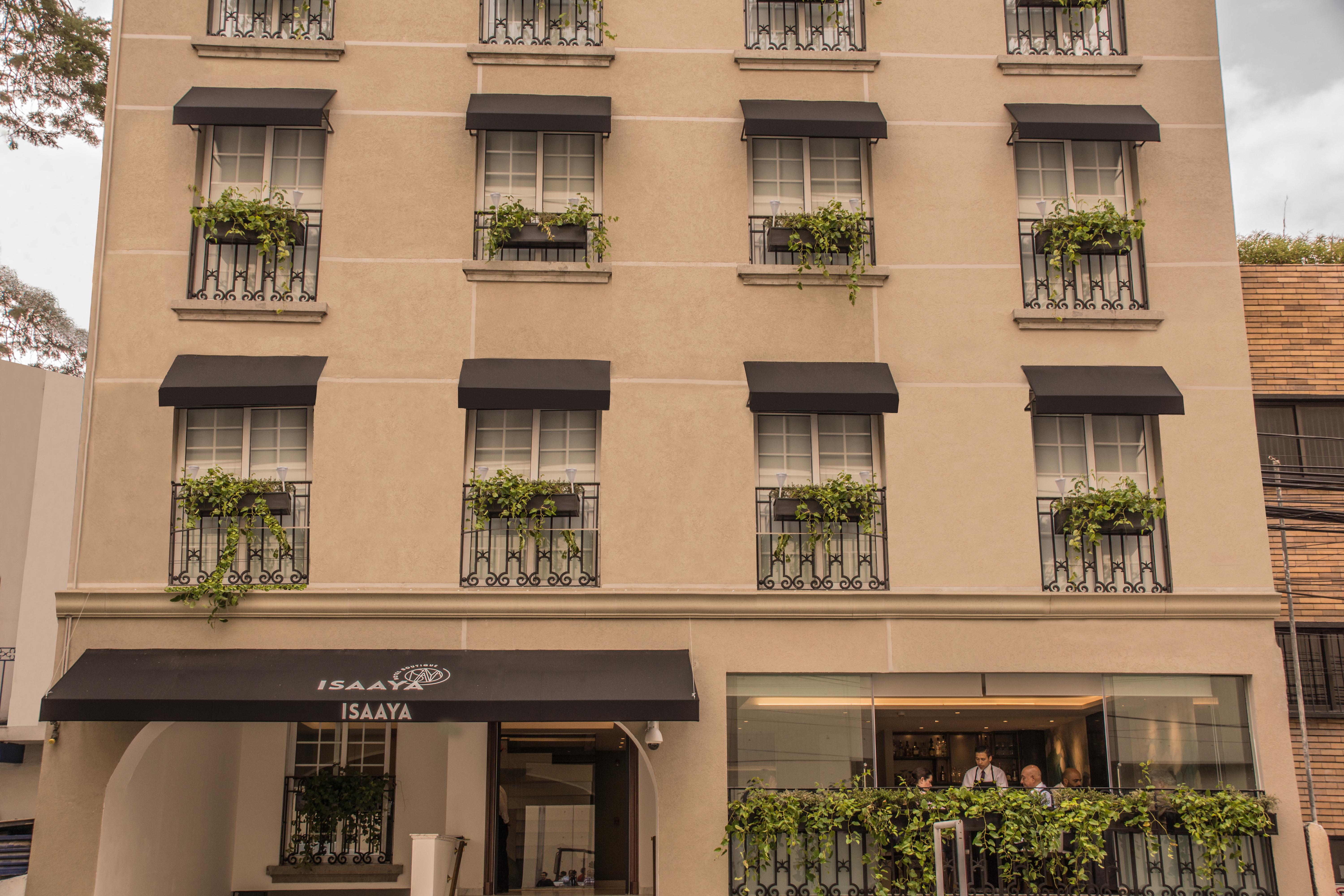 Isaaya Hotel Boutique By Wtc Mexico City Exterior photo